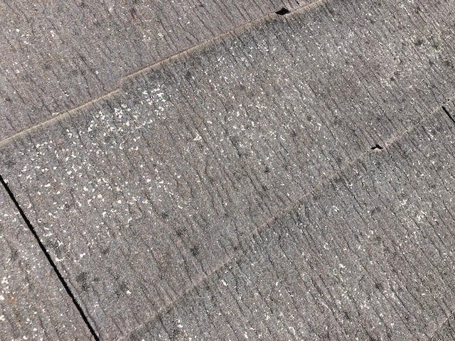 カビたスレート